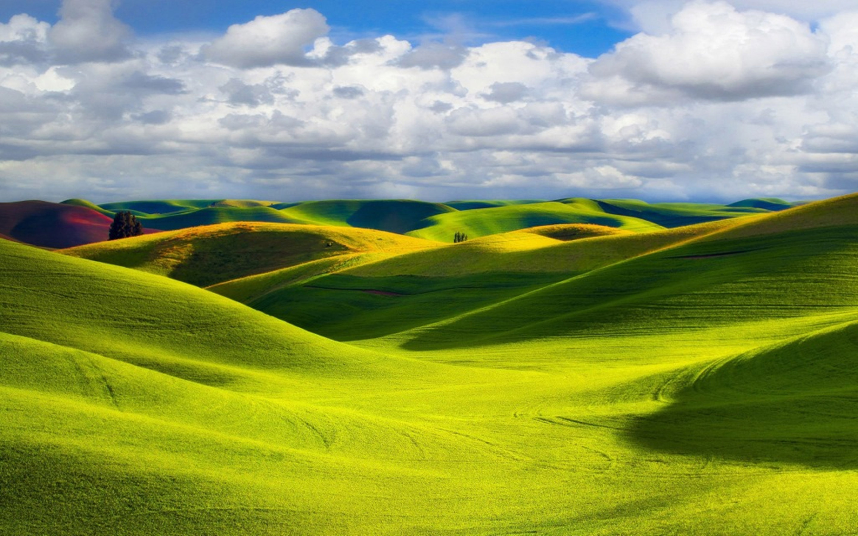 美しい丘の壁紙,草原,自然の風景,自然,緑,空