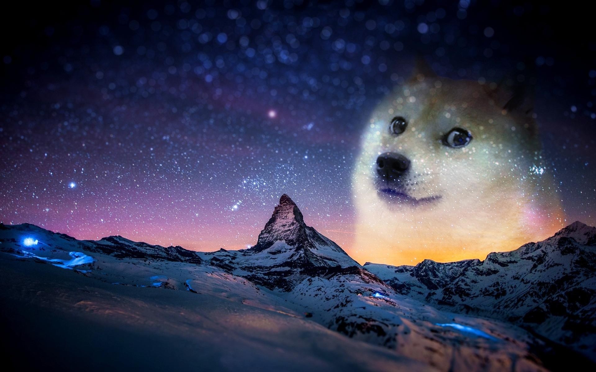 doge live wallpaper,natur,himmel,atmosphäre,arktis,platz