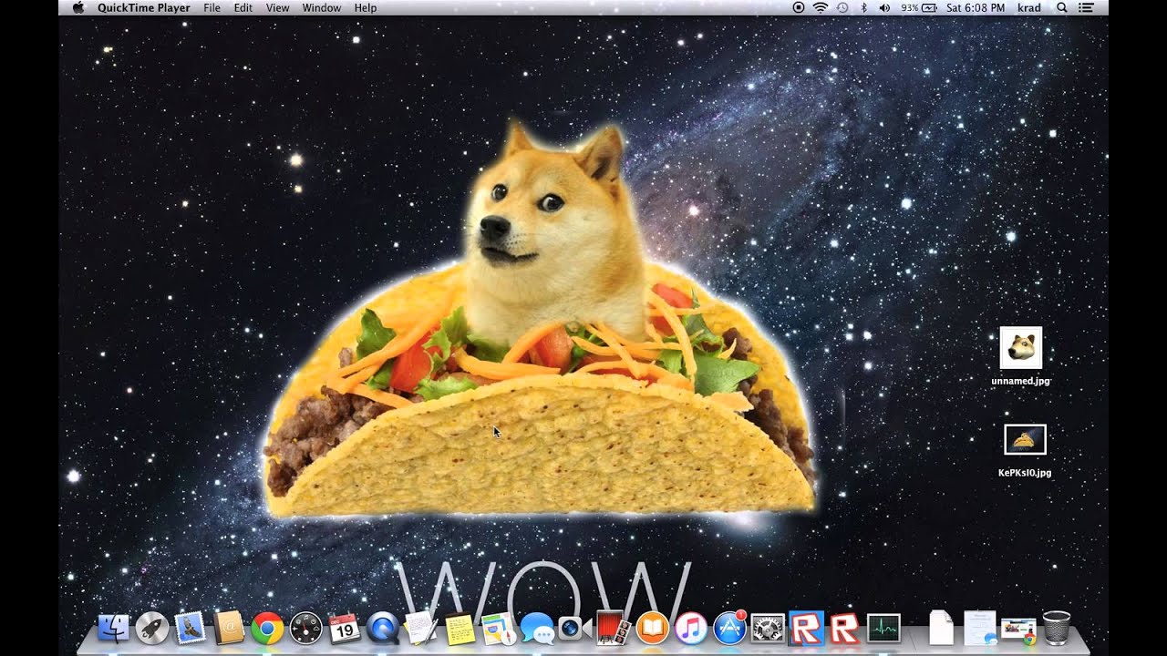 doge live wallpaper,perro,shiba inu,fuente,pembroke welsh corgi,espacio