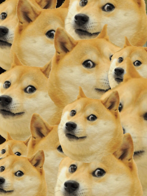 Doge Live Wallpaper - Infoupdate Wallpaper Images