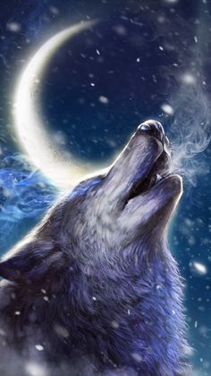 オオカミの壁紙無料ライブ,天体,宇宙,スペース,狼,海洋哺乳類