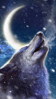 live wolf wallpaper gratis,objeto astronómico,espacio exterior,espacio,lobo,mamífero marino