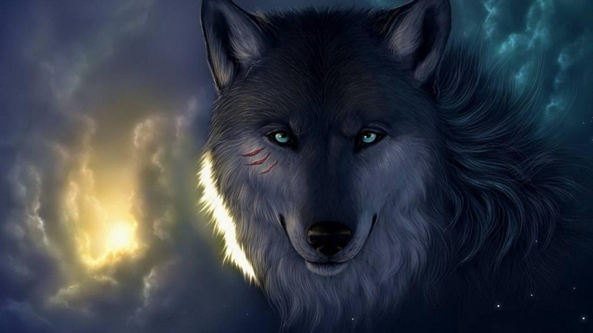 live wolf wallpaper gratis,lobo,cielo,hocico,fauna silvestre,canis lupus tundrarum