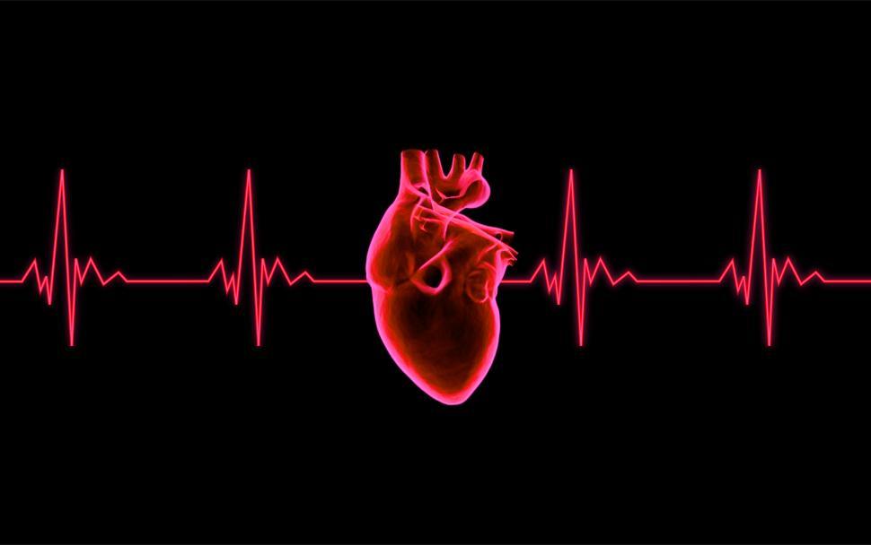 심장 박동 라이브 배경 화면,본문,폰트,심장,인간의 몸,그래픽 디자인