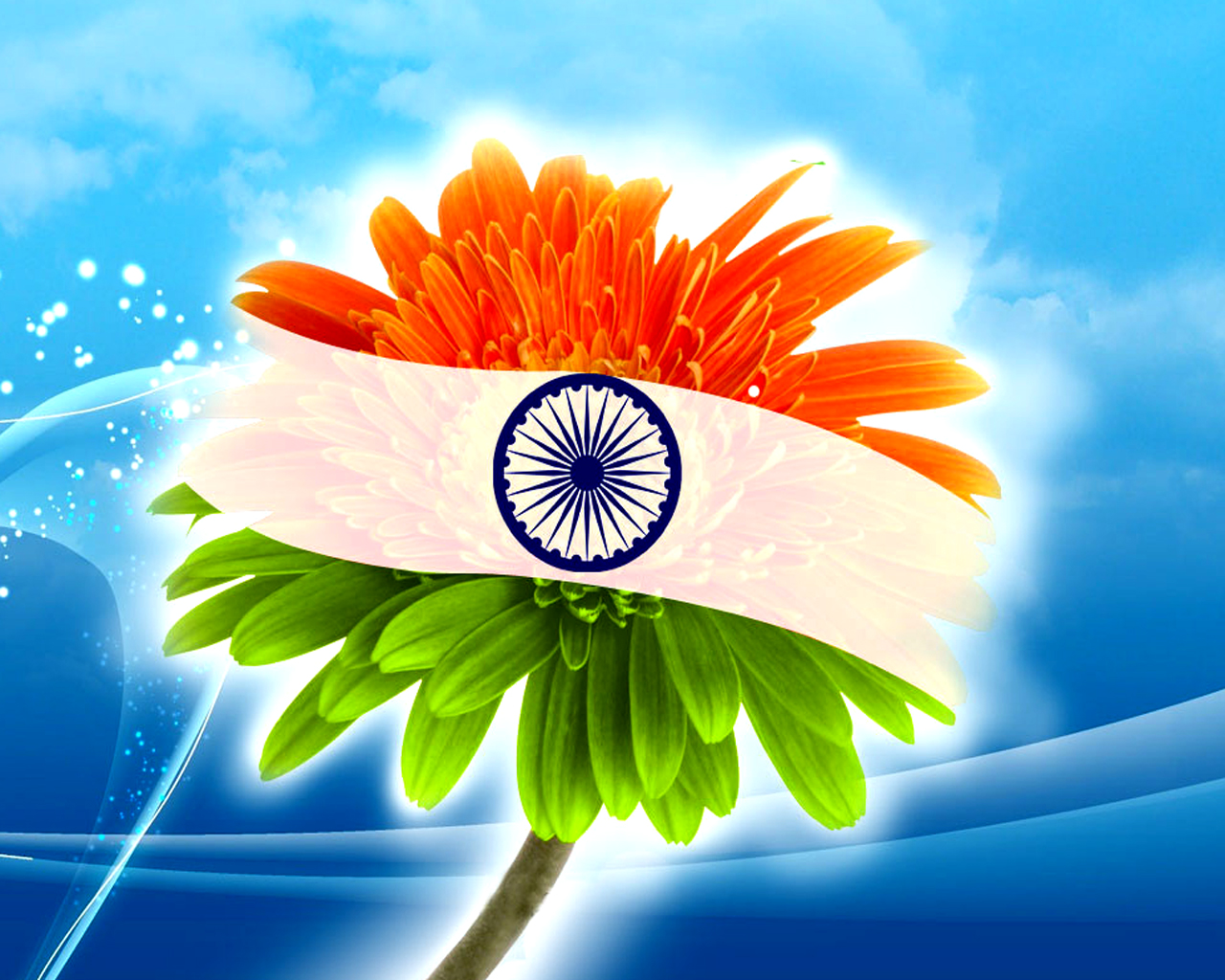 3d india flag live wallpaper,sky,flower,plant,petal,chamomile