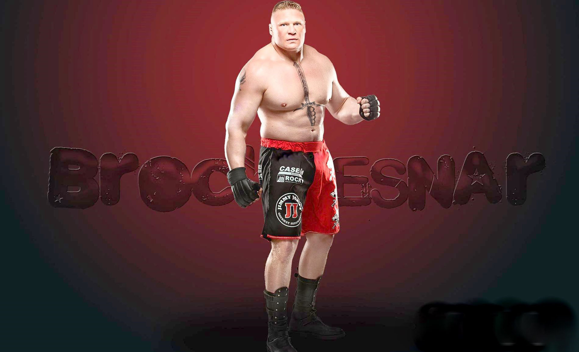 brock lesnar fond d'écran complet hd,boxe,lutteur,boxe professionnelle,sport de combat,gant de boxe