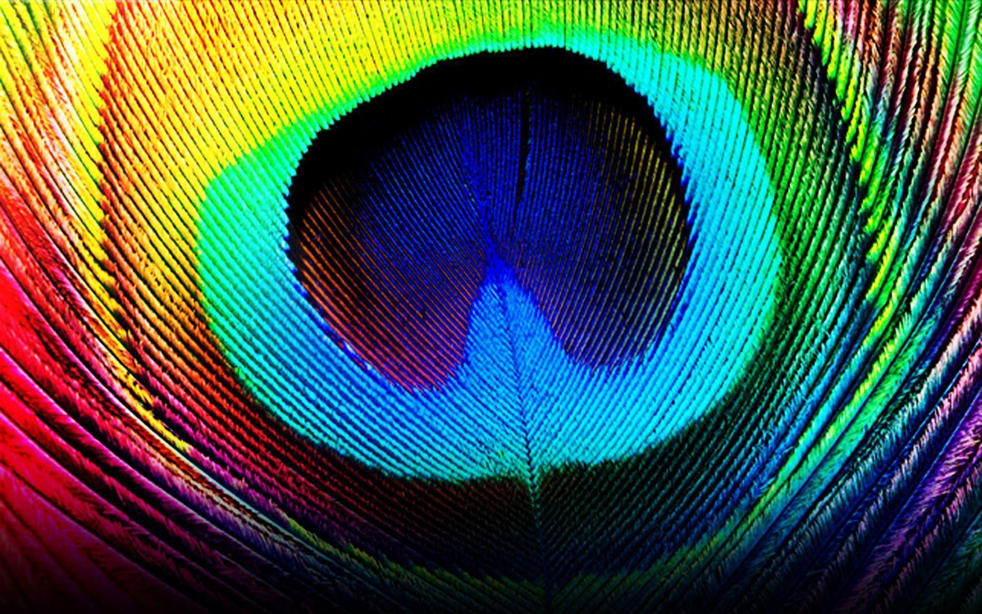 feather live wallpaper,light,colorfulness,feather,circle,psychedelic art