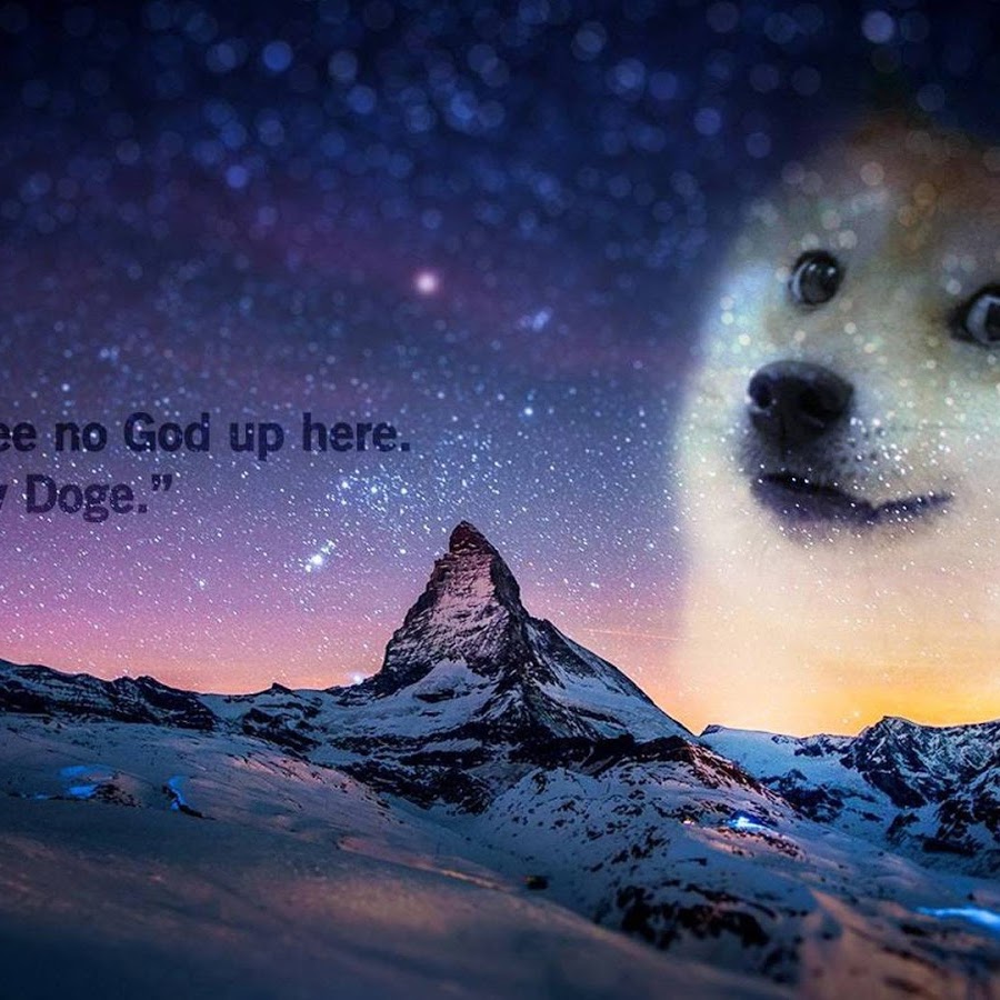 doge live wallpaper,sky,nature,canidae,dog,atmospheric phenomenon