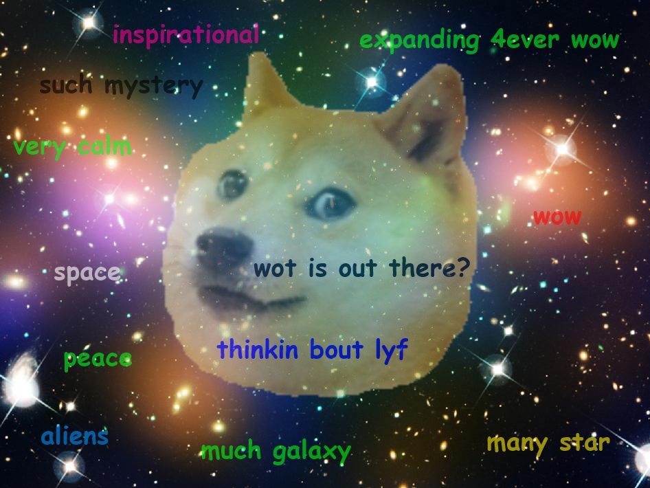 doge live wallpaper,astronomisches objekt,star,hund,himmel,platz