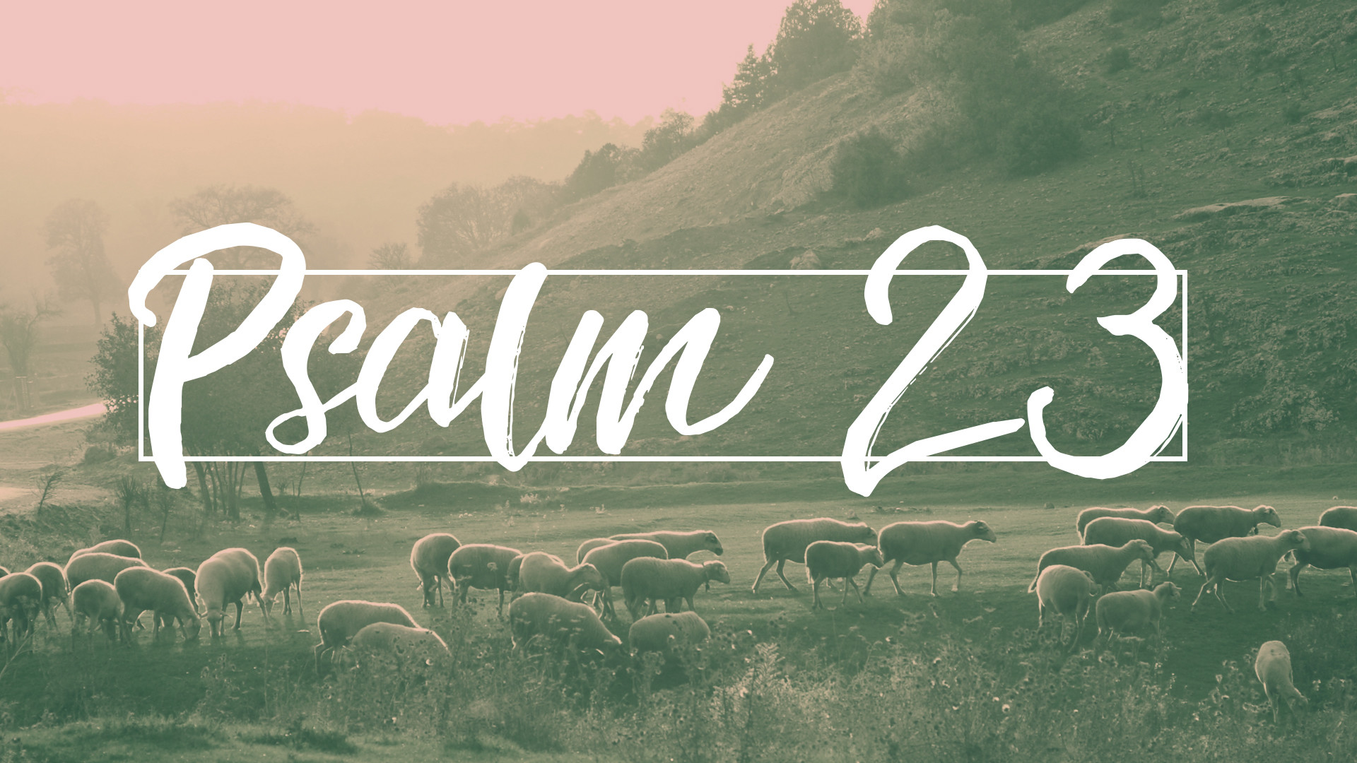psalm 23 wallpaper,font,text,natural landscape,morning,grass