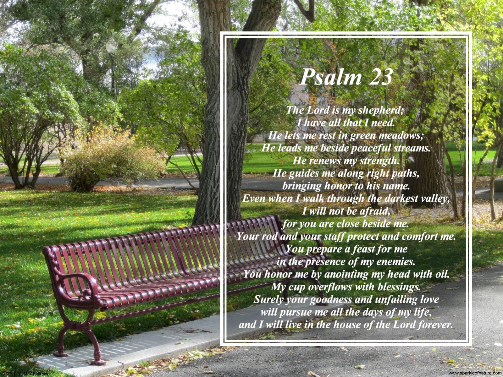 fond d'écran psaume 23,la nature,paysage naturel,arbre,meubles,banc