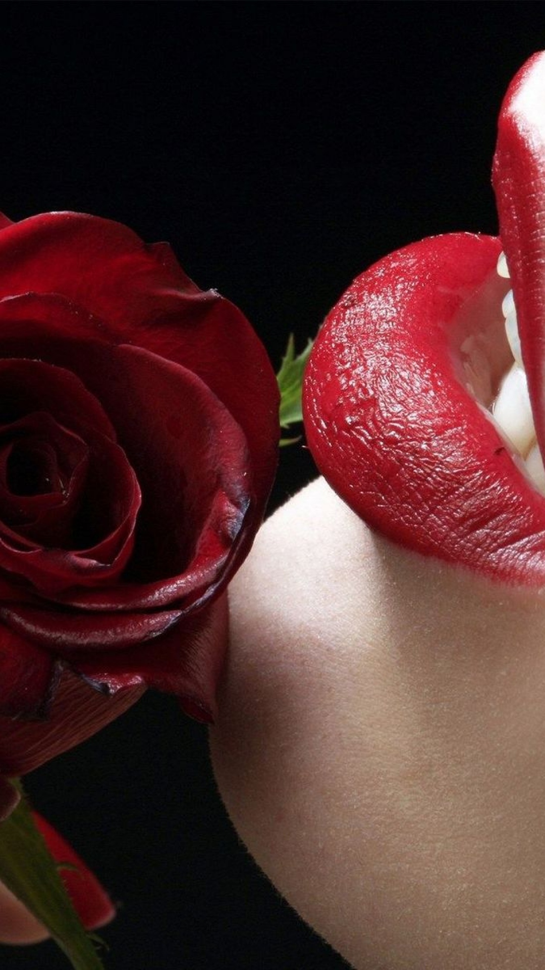 붉은 입술 벽지,빨간,말뿐인,꽃잎,장미,분홍