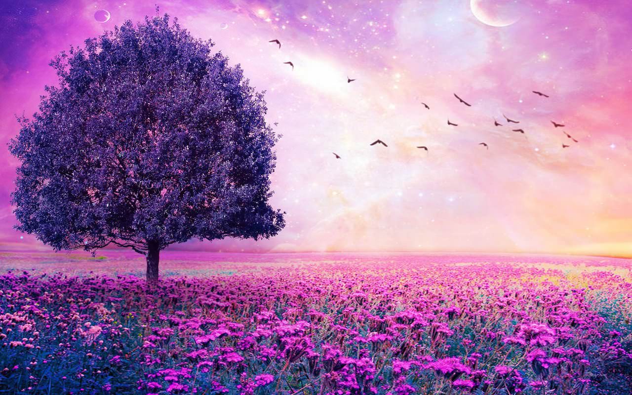 purple tree wallpaper,sky,natural landscape,lavender,purple,nature