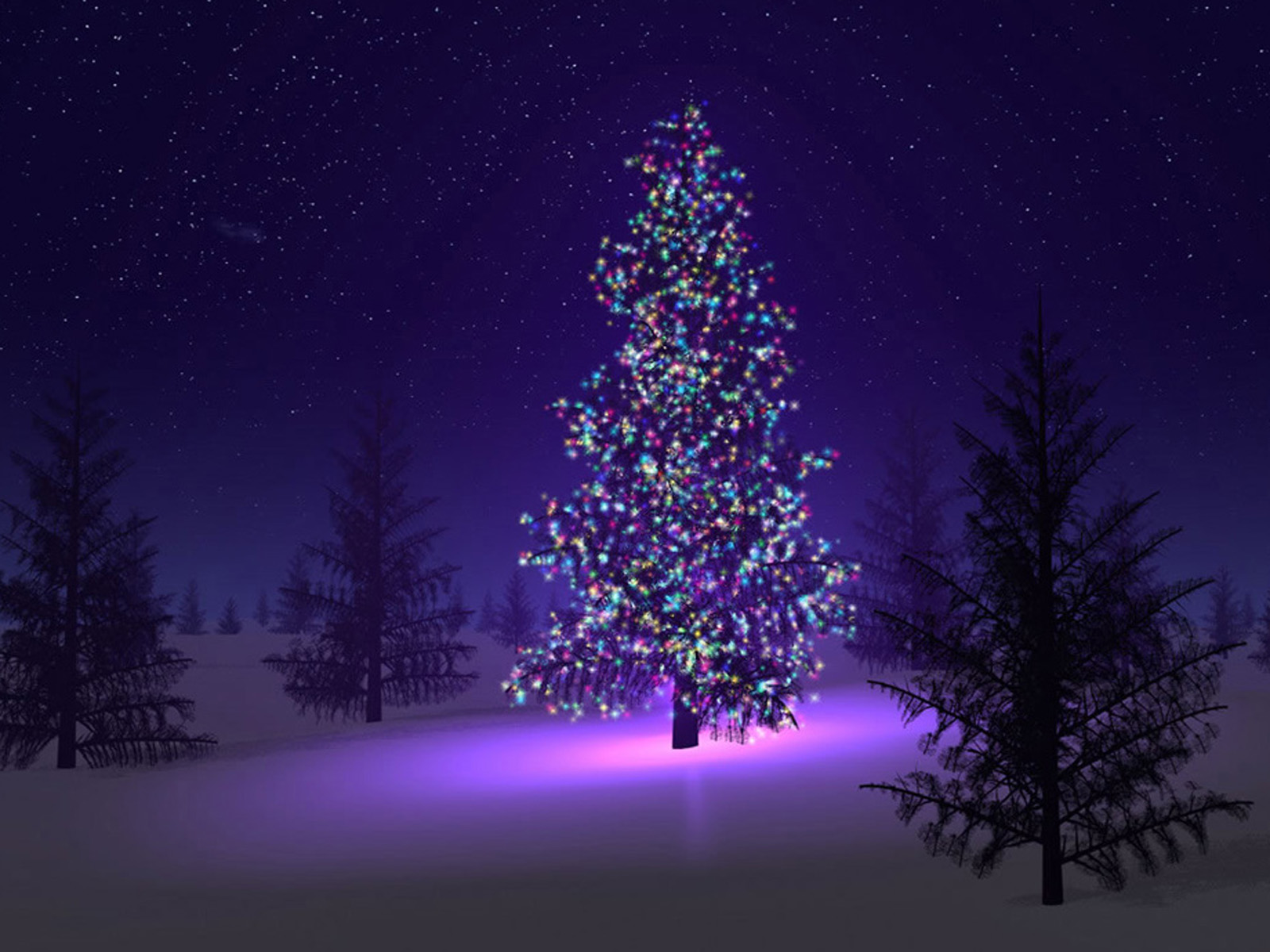 보라색 나무 벽지,나무,자연,크리스마스 트리,하늘,보라색