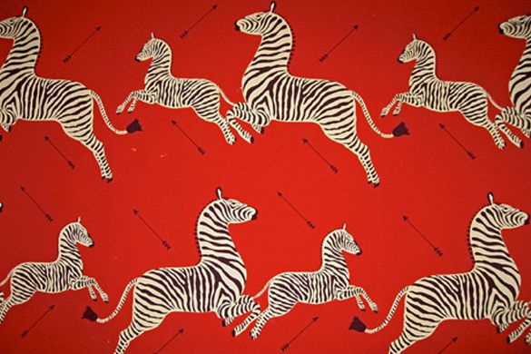 red zebra wallpaper,zebra,terrestrial animal,wildlife,pattern,organism