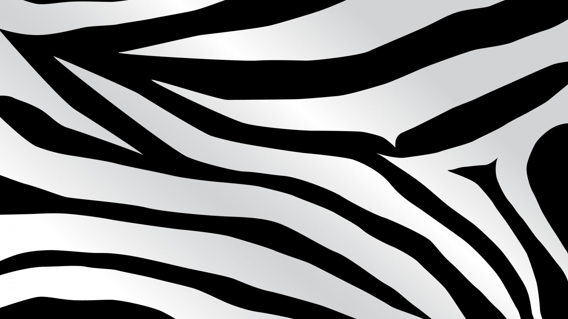 Zebra Print Wallpaper WallpaperUse
