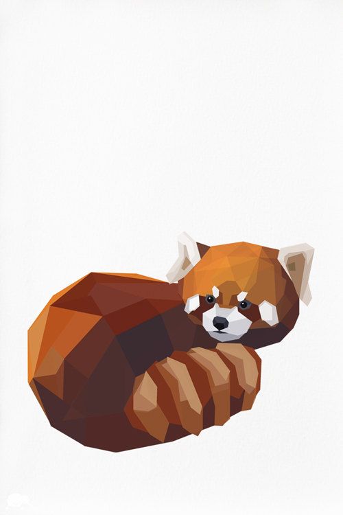 papel pintado cebra roja,panda rojo,ilustración,zorro rojo