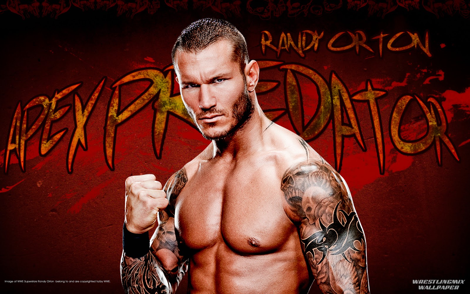 randy orton wallpaper download,muscle,wrestler,barechested,chest,arm