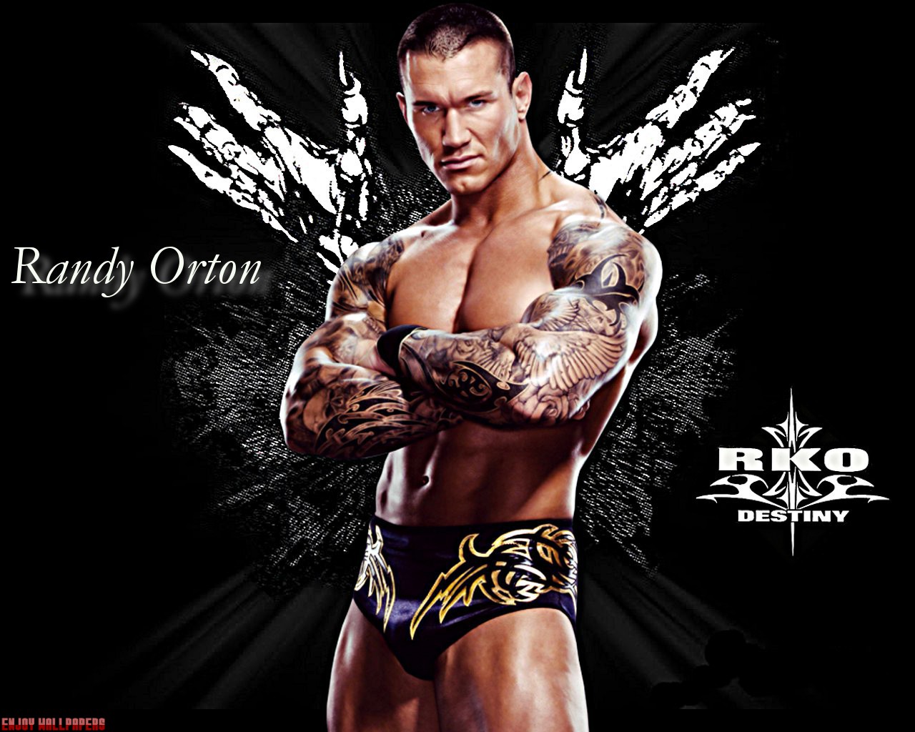 randy orton wallpaper download,bodybuilder,muscle,bodybuilding,wrestler,professional wrestling