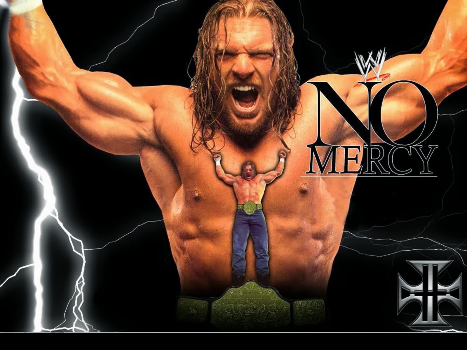 triple h hd wallpaper,wrestler,professional wrestling,bodybuilder,bodybuilding,muscle