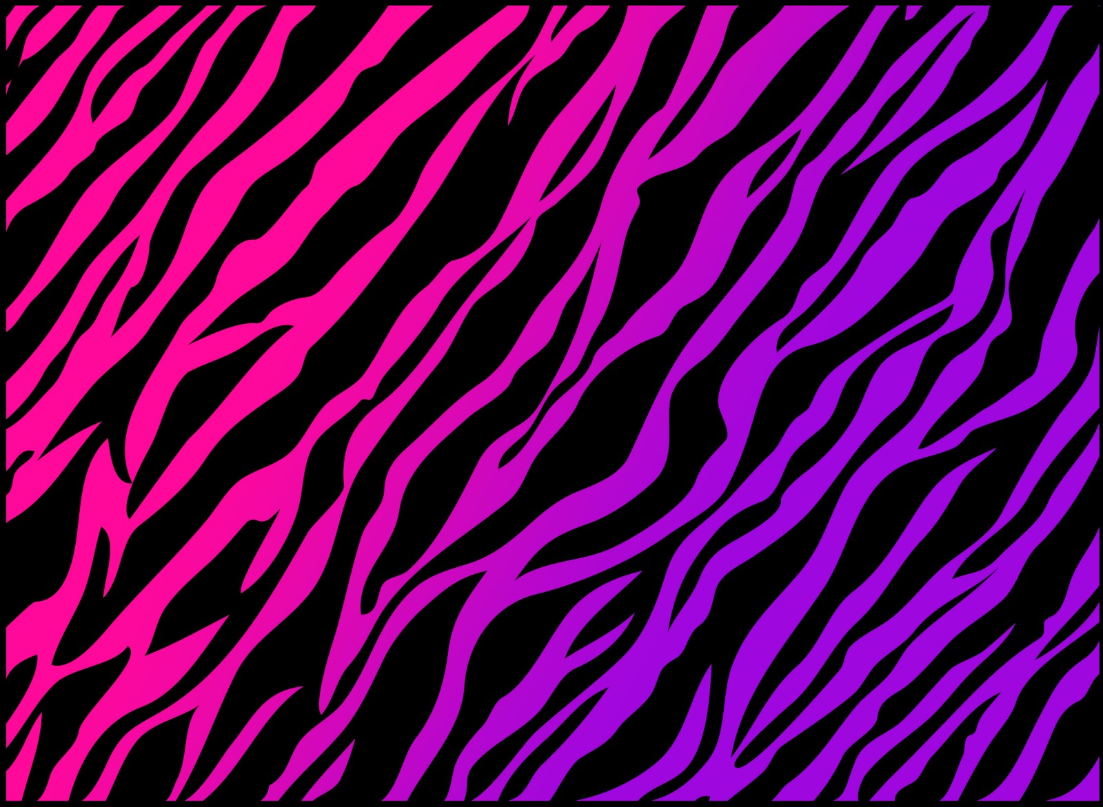 carta da parati zebra rossa,viola,viola,modello,rosa,linea