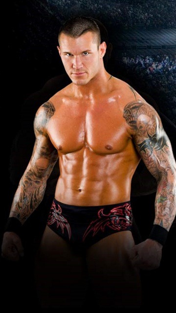 randy orton fond d'écran télécharger,bodybuilder,torse nu,la musculation,abdomen,lutteur