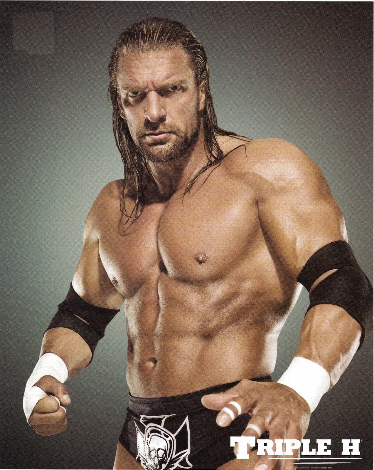 triple h hd wallpaper,wrestler,barechested,professional wrestling,wrestling,muscle