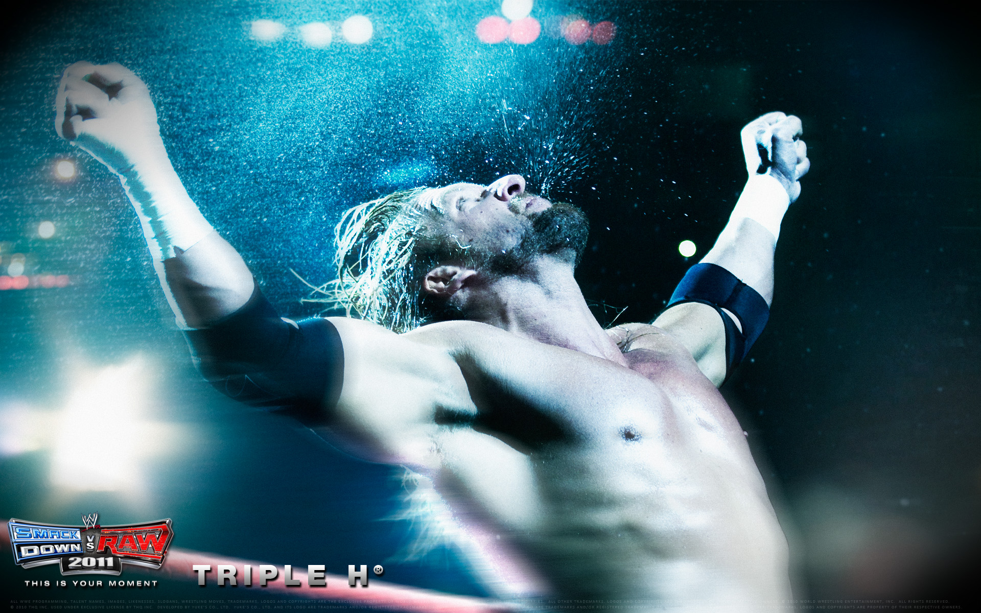 triple h fondo de pantalla hd,actuación,fuente,fotografía,descalzo,luchador