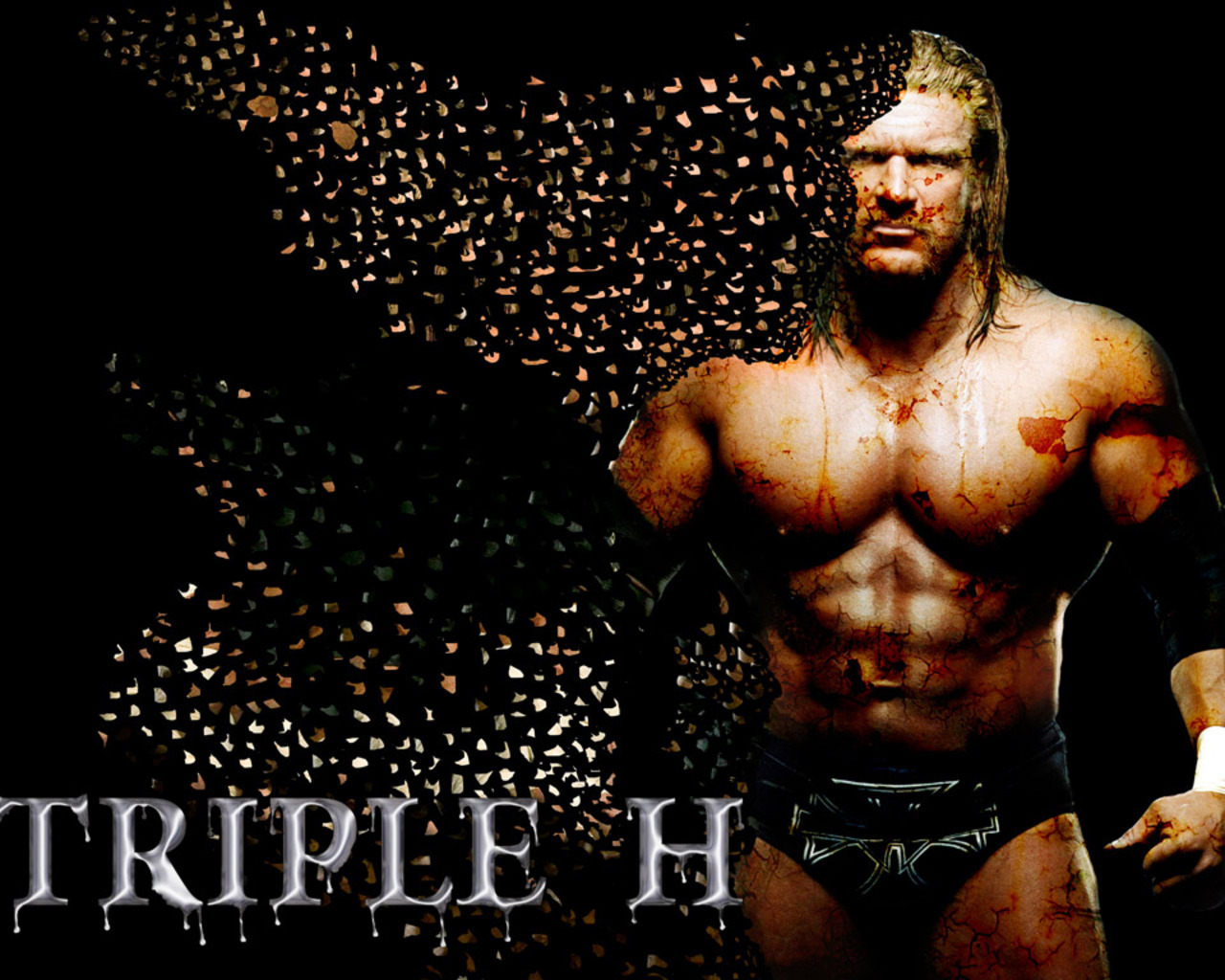 triple hd hd wallpaper,bodybuilder,bodybuilding,ringer,professionelles wrestling,truhe