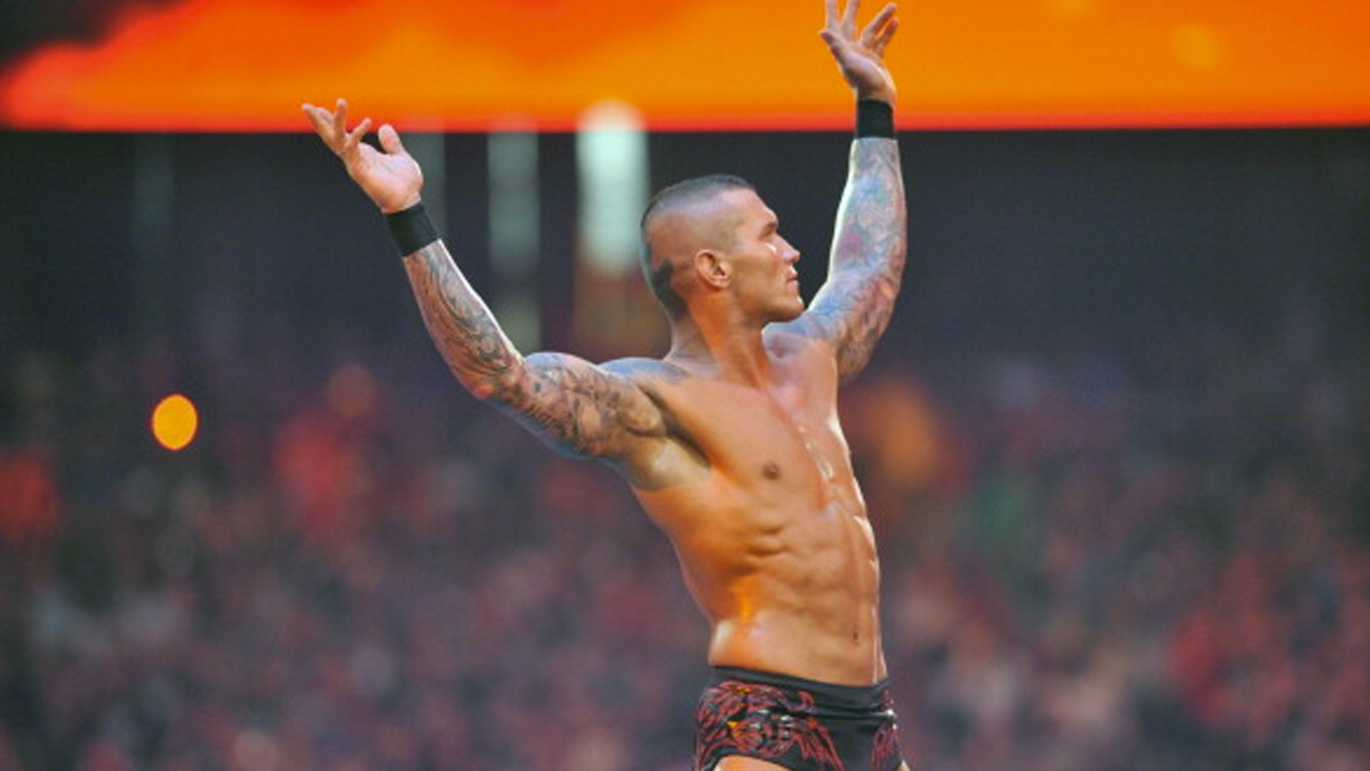 randy orton wallpaper download,barechested,muscle,bodybuilder,arm,physical fitness