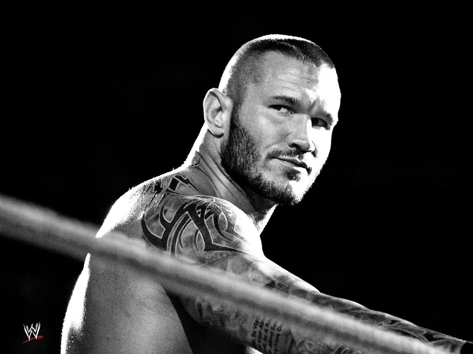 download di sfondi di randy orton,wrestling professionale,lottatore,sport di combattimento,boxe