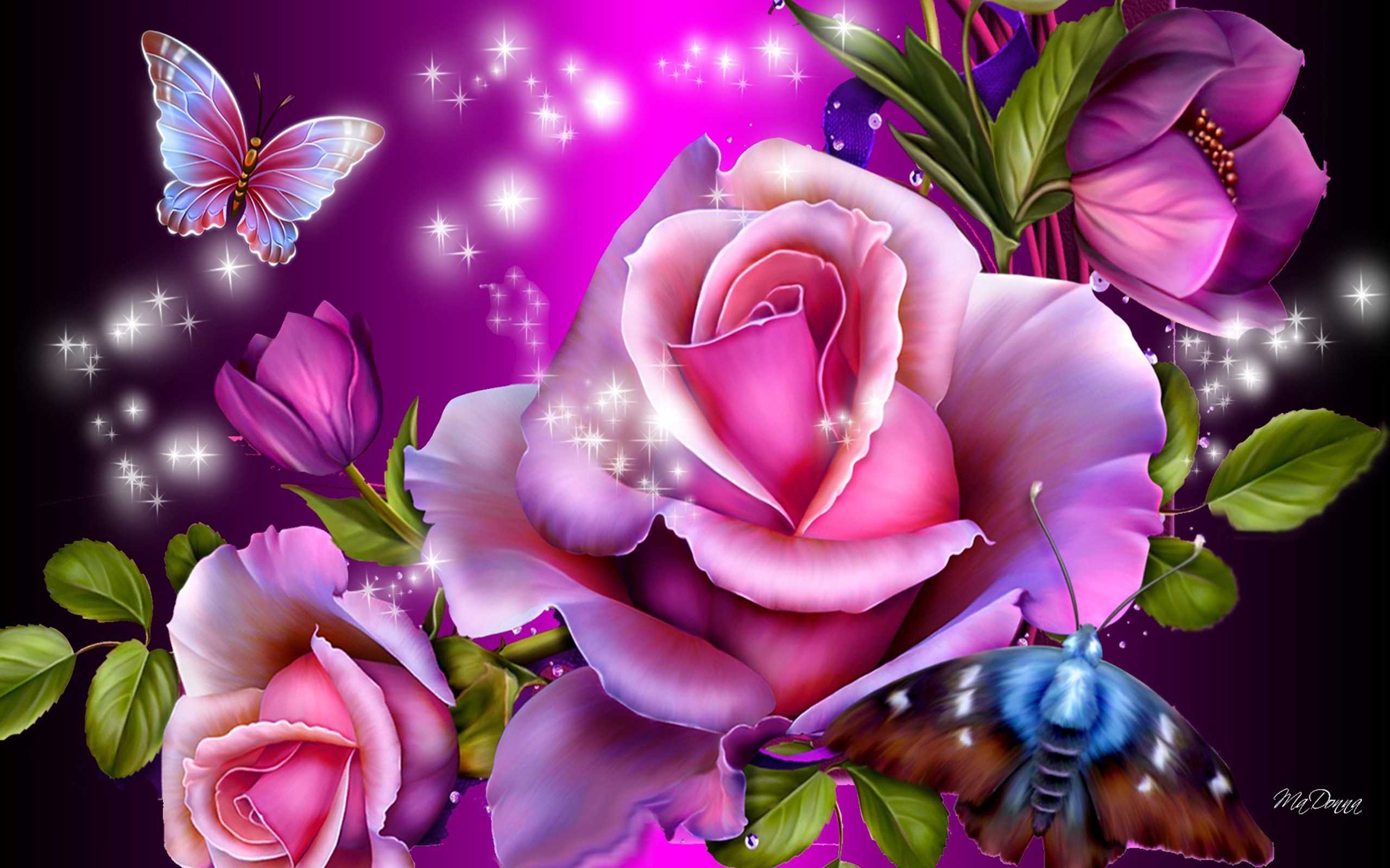 美しいピンクのバラの壁紙無料ダウンロード,ピンク,花,花弁,バイオレット,紫の