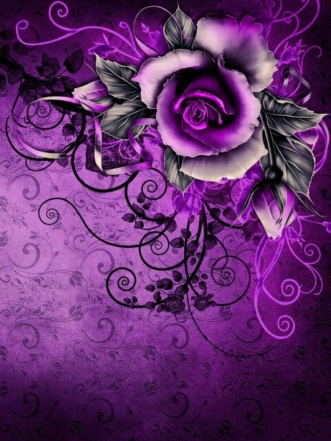 alle farben rose tapeten,violett,lila,grafikdesign,rosa,rose