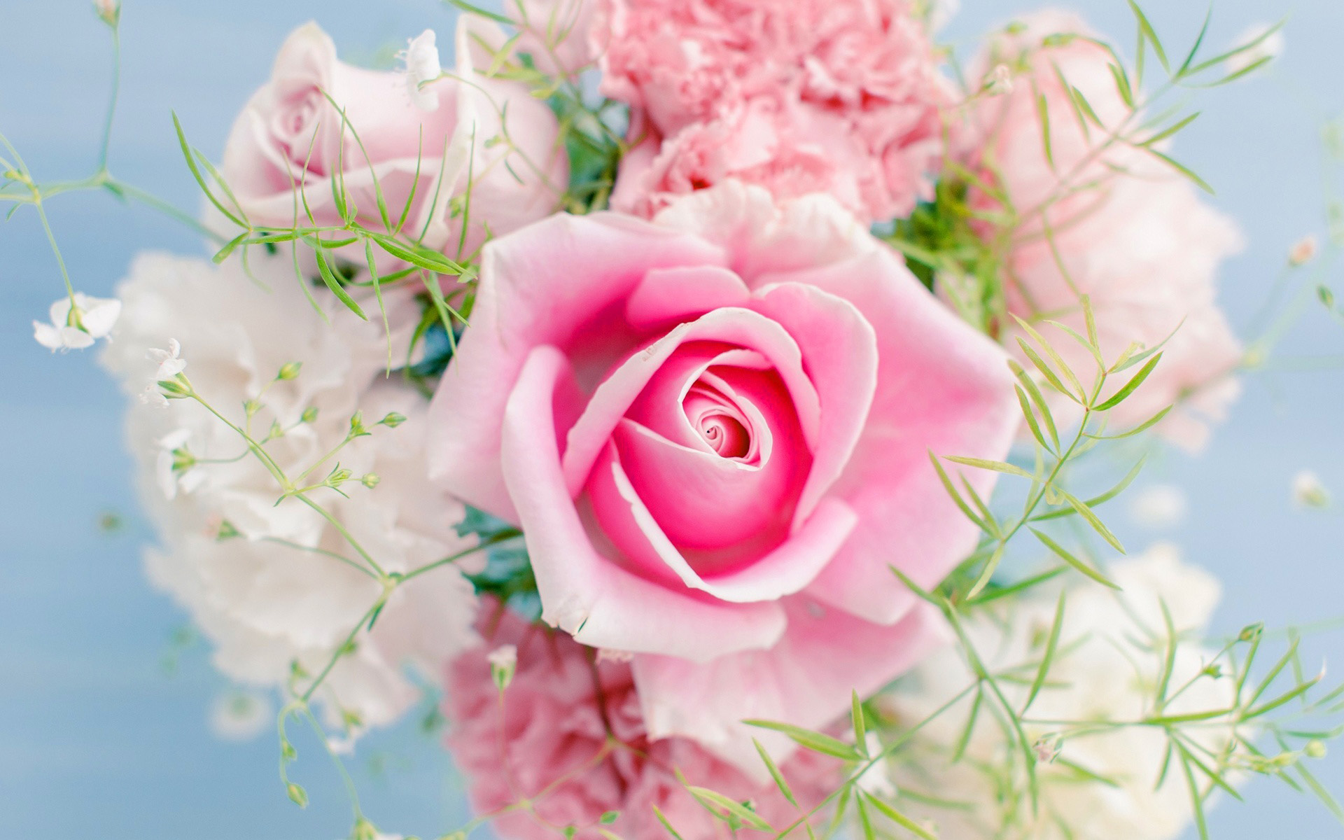 beautiful pink rose wallpapers,flower,pink,garden roses,rose,bouquet