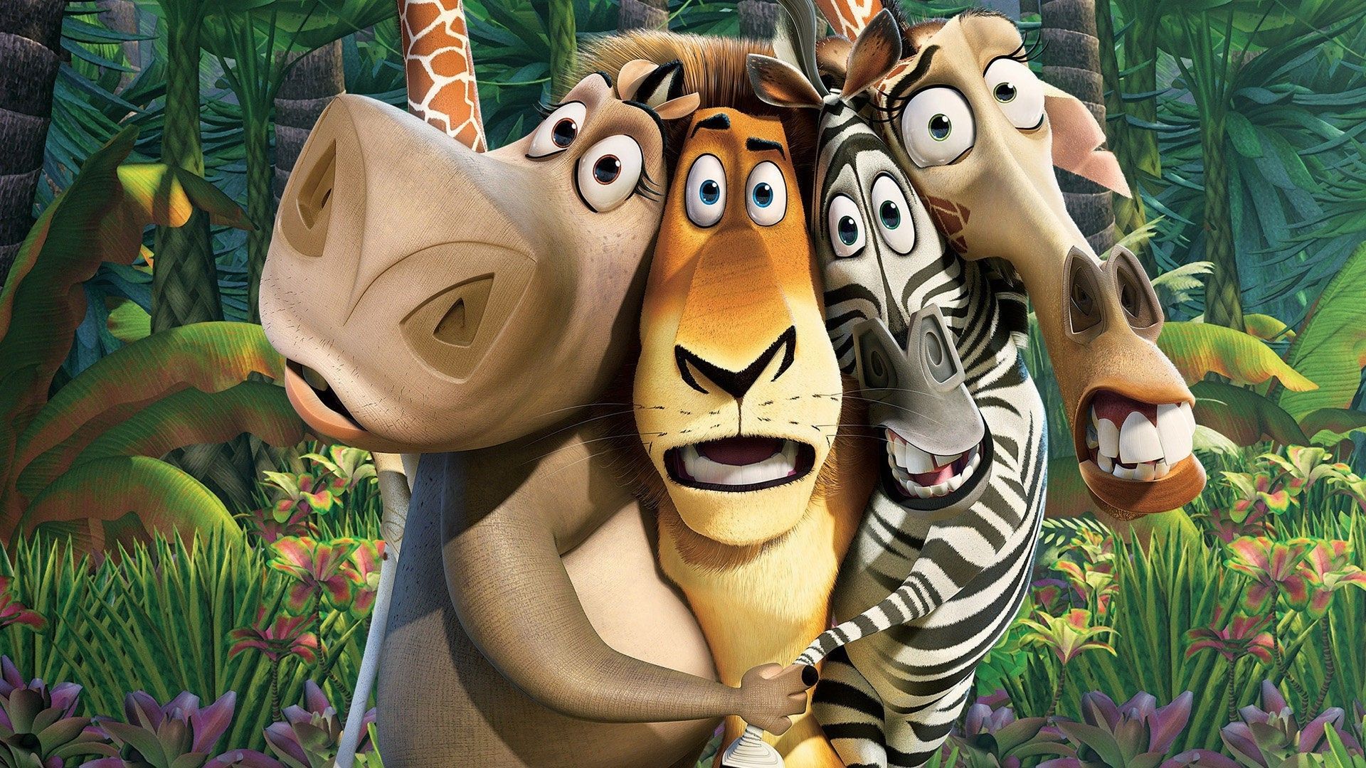 fondo de pantalla de película de animación,dibujos animados,animación,animal terrestre,selva,fauna silvestre