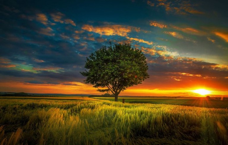 cool landscape wallpapers,sky,natural landscape,nature,grassland,tree