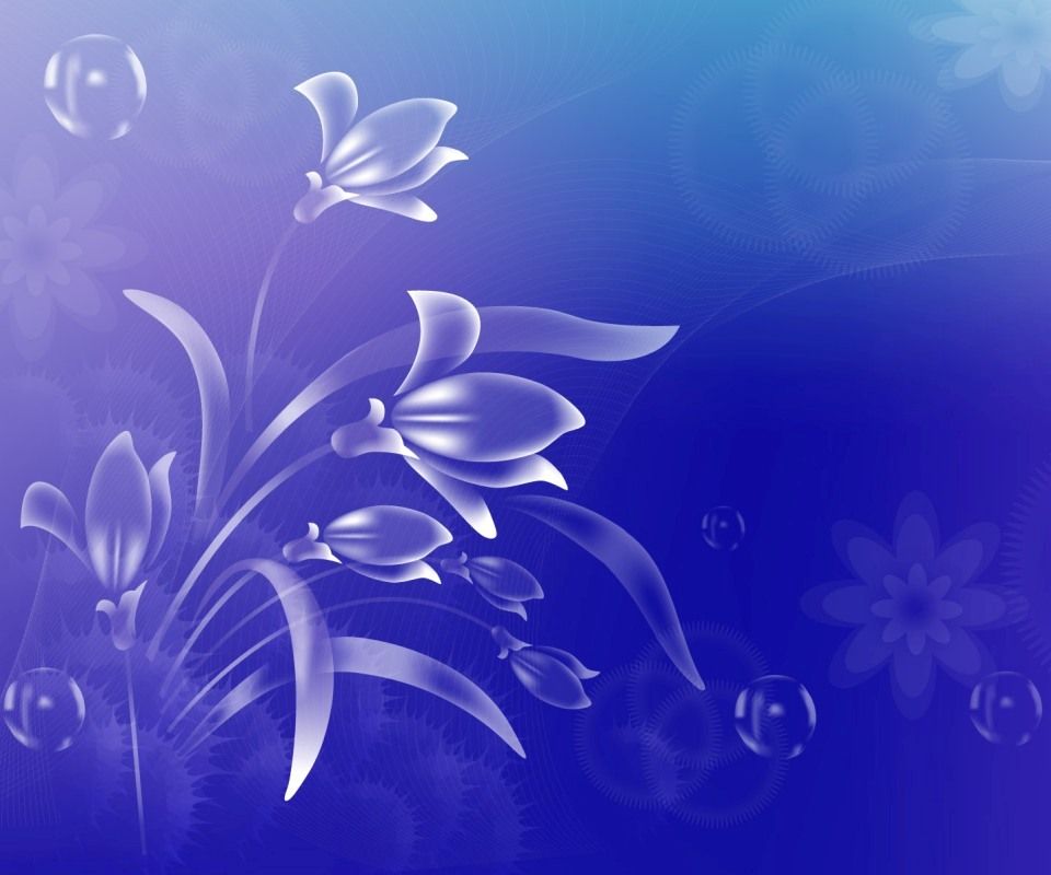 foto hintergrund wallpaper kostenloser download,blau,violett,blume,lila,pflanze