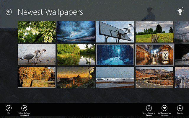 photo background wallpaper free download,natural landscape,adaptation,photography,wildlife,digital compositing
