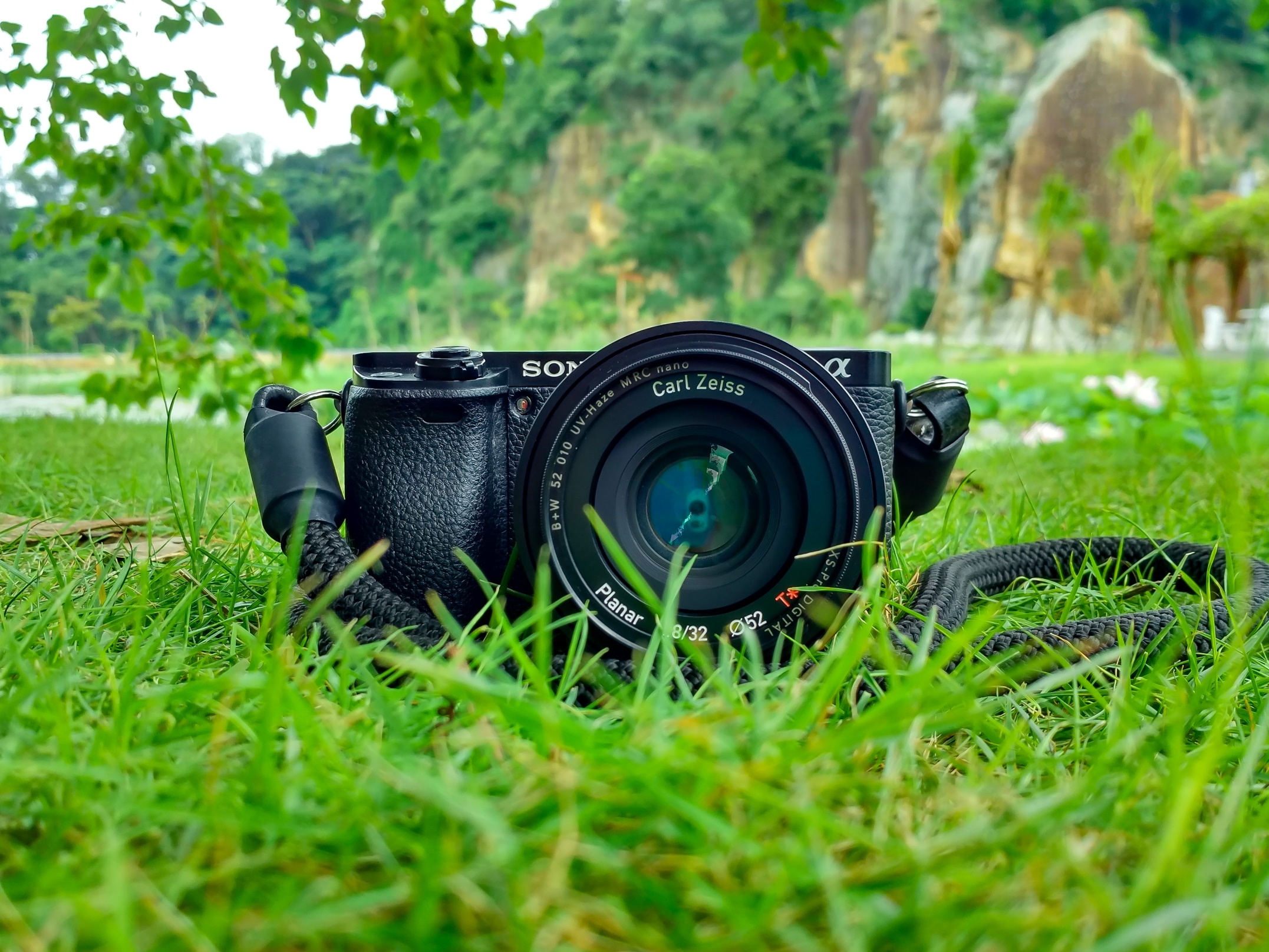 Premium AI Image | A sony camera sits on a leafy surface.