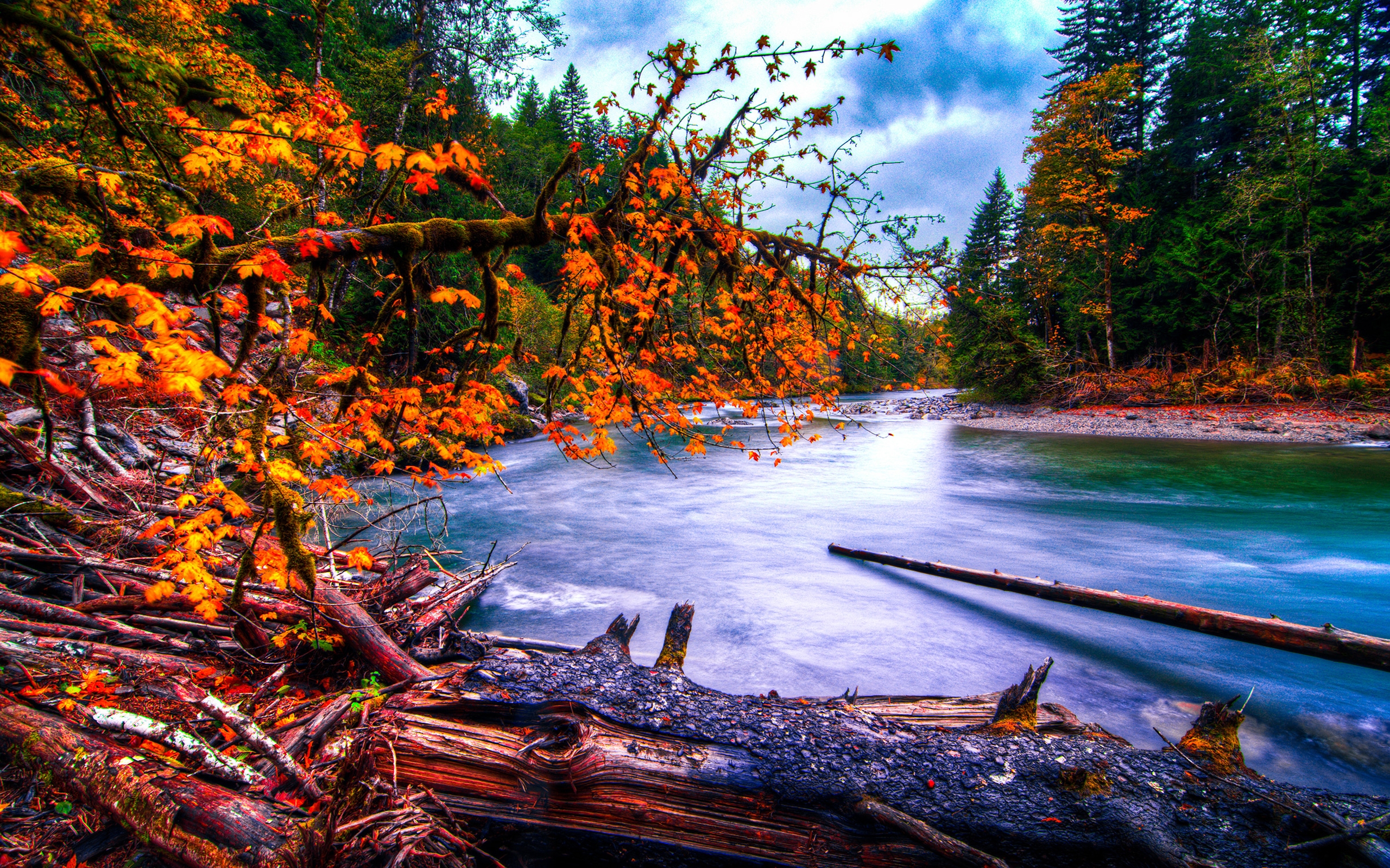 download gratuito di foto sfondo wallpaper,natura,corpo d'acqua,paesaggio naturale,albero,acqua