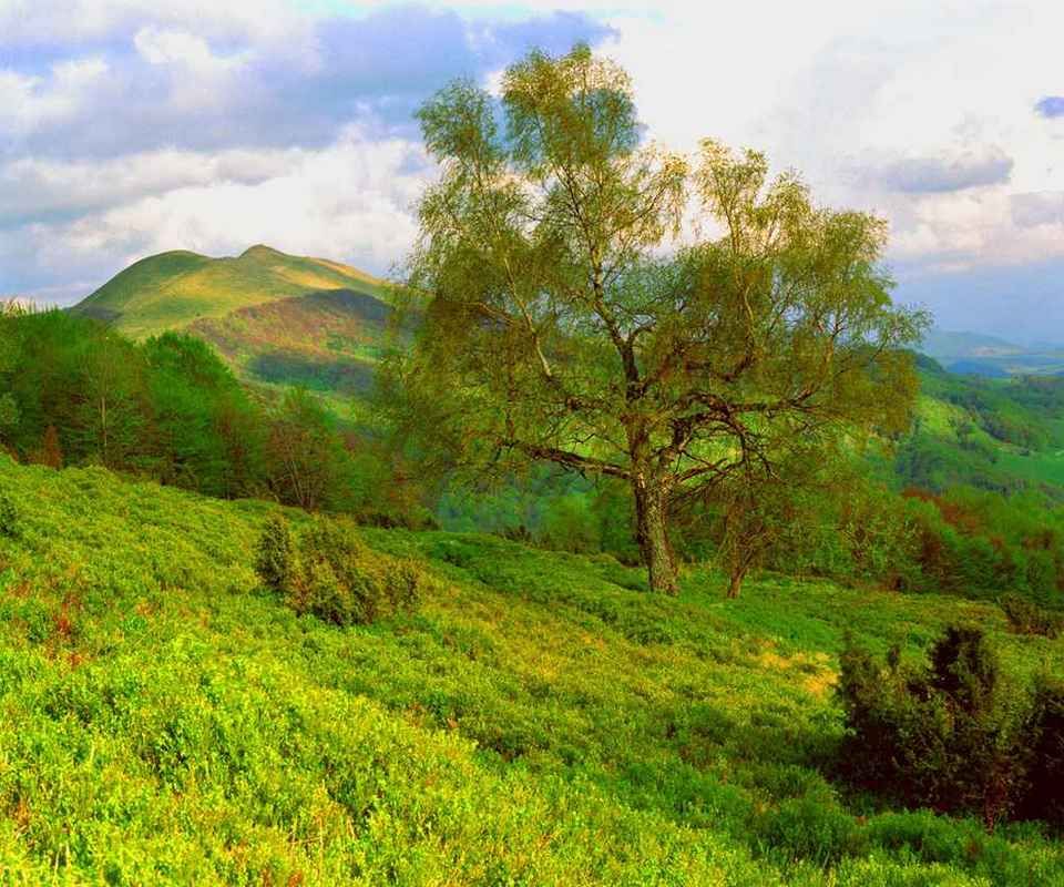 fond d'écran photo téléchargement gratuit,paysage naturel,la nature,prairie,colline,station de montagne