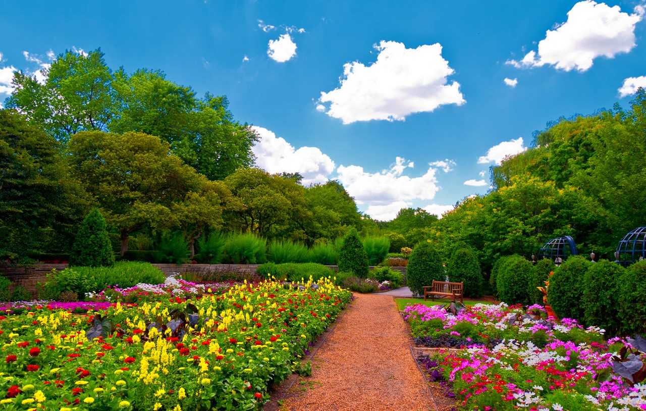 foto fondo de pantalla descarga gratuita,jardín,paisaje natural,jardín botánico,naturaleza,cielo