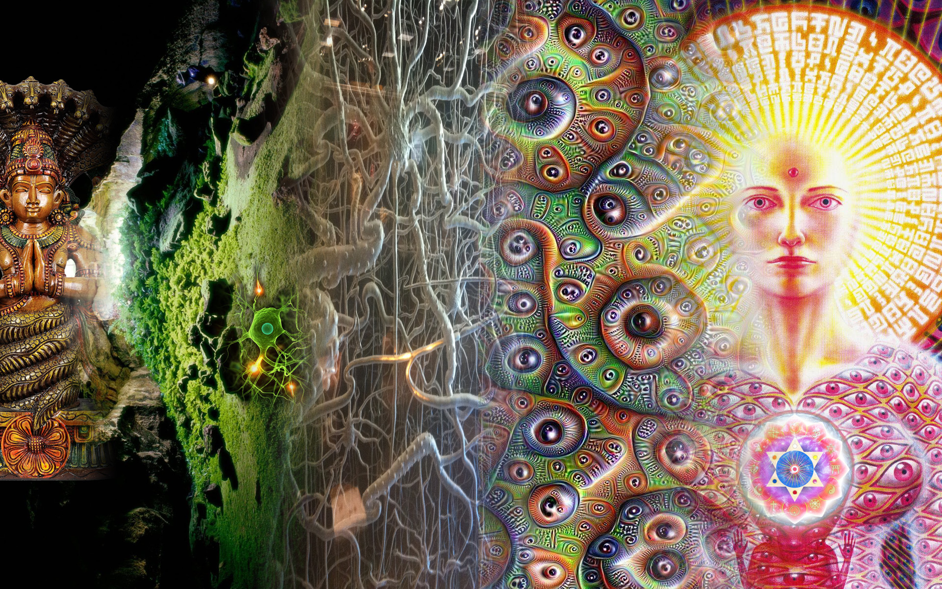 photo background wallpaper free download,psychedelic art,art,organism,fractal art,painting