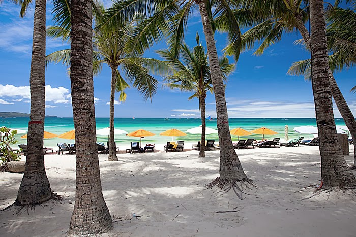 papier peint boracay,arbre,plage,vacances,palmier,caraïbes