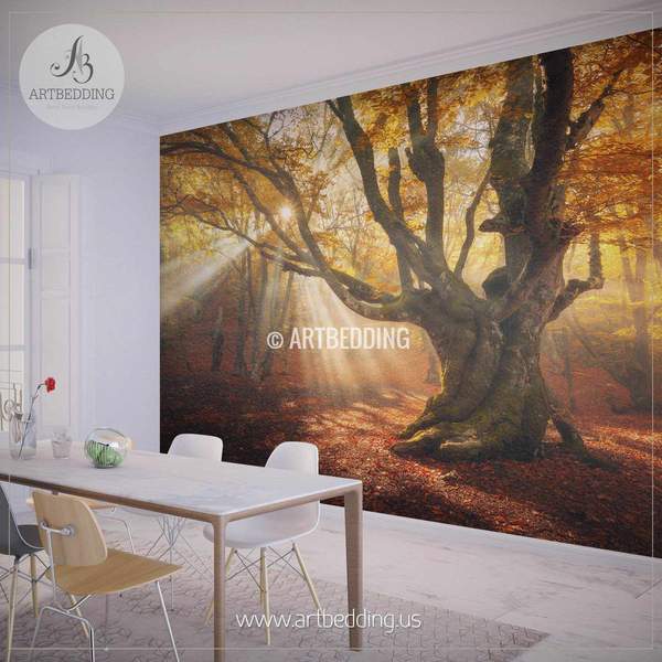 bedroom wallpaper divisoria,nature,wall,room,mural,wallpaper (321930