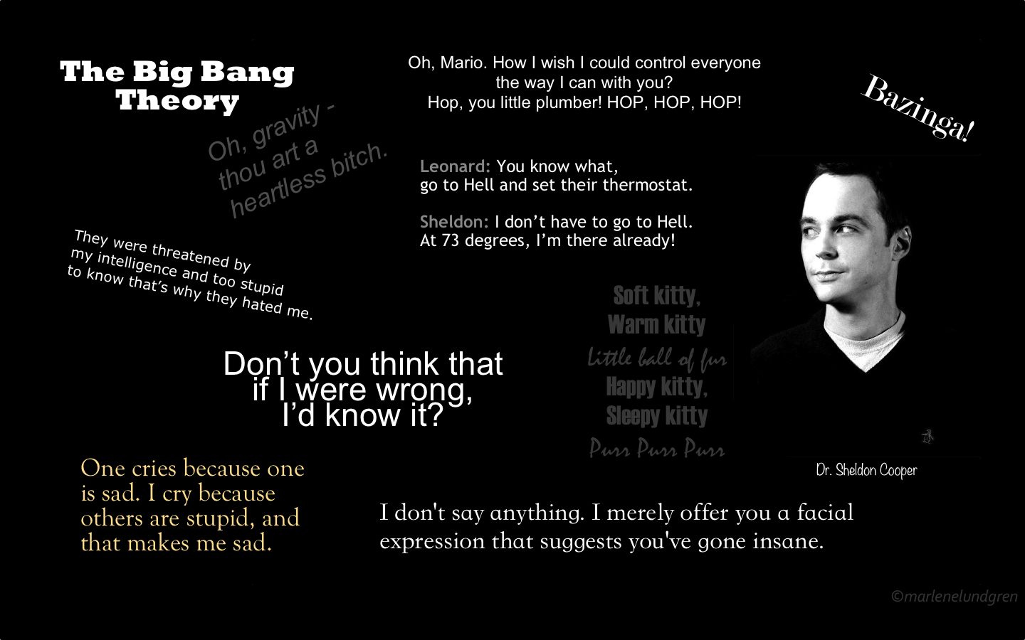 sheldon cooper tapete,text,schriftart,fotografie