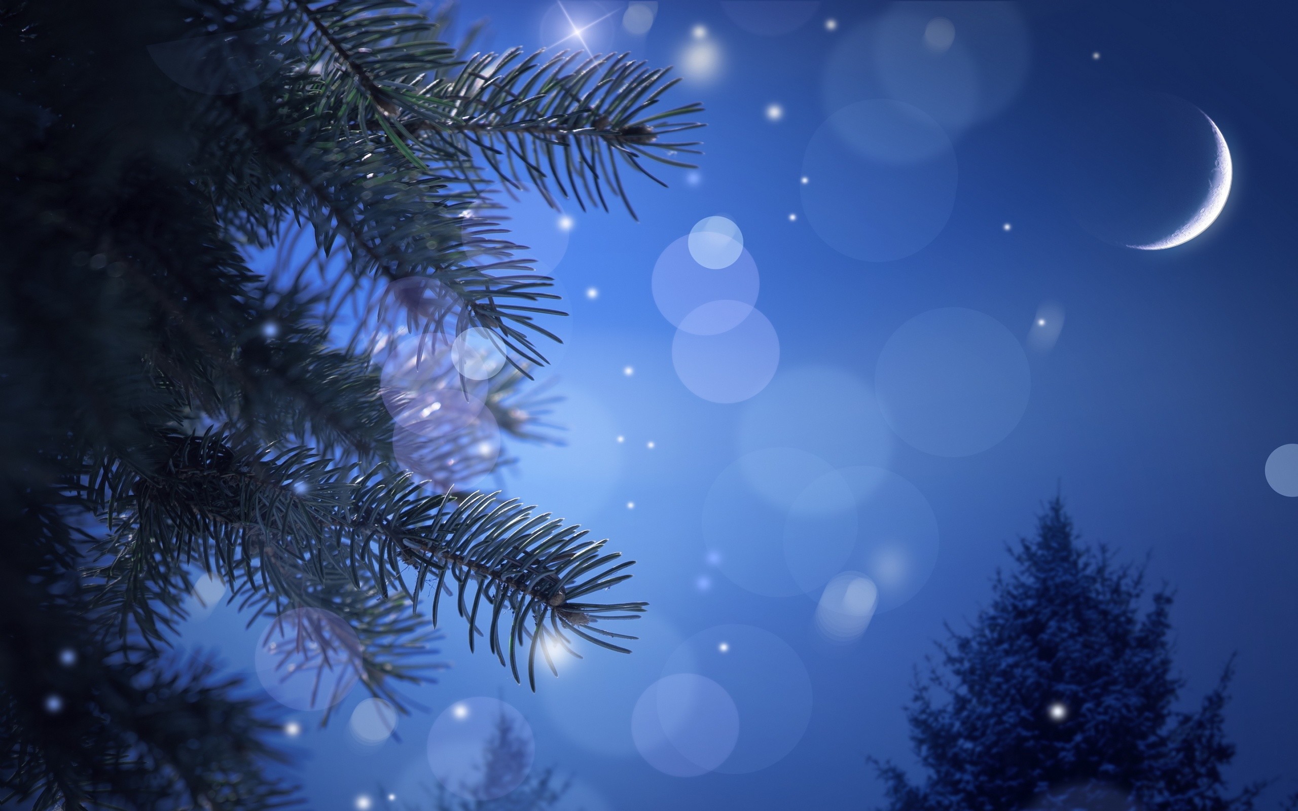 크리스마스 밤 벽지,하늘,푸른,나무,자연,빛
