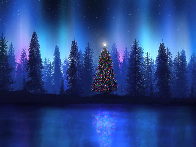 クリスマスの夜の壁紙,自然,自然の風景,空,青い,木