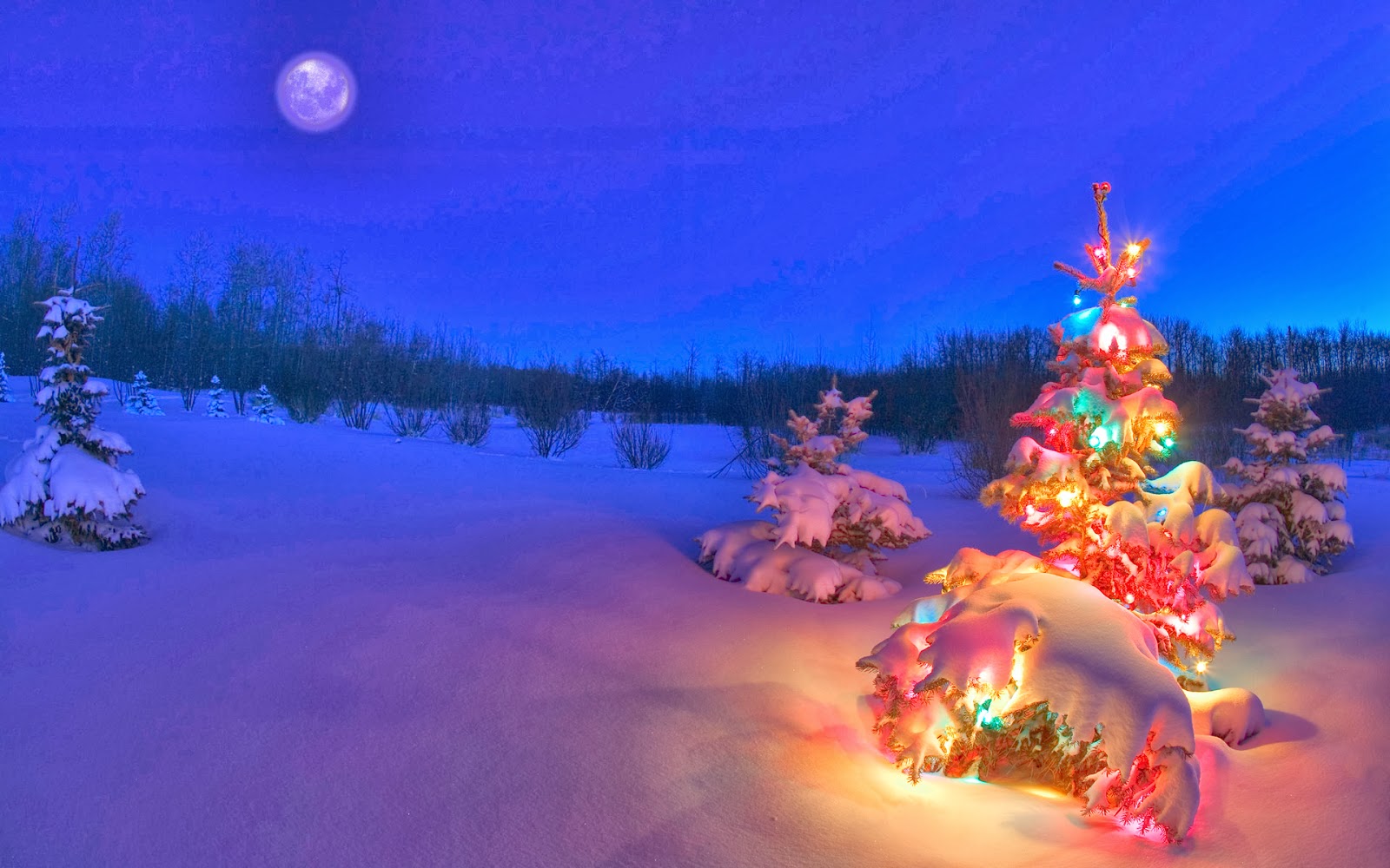 christmas night wallpaper,christmas tree,winter,snow,sky,light
