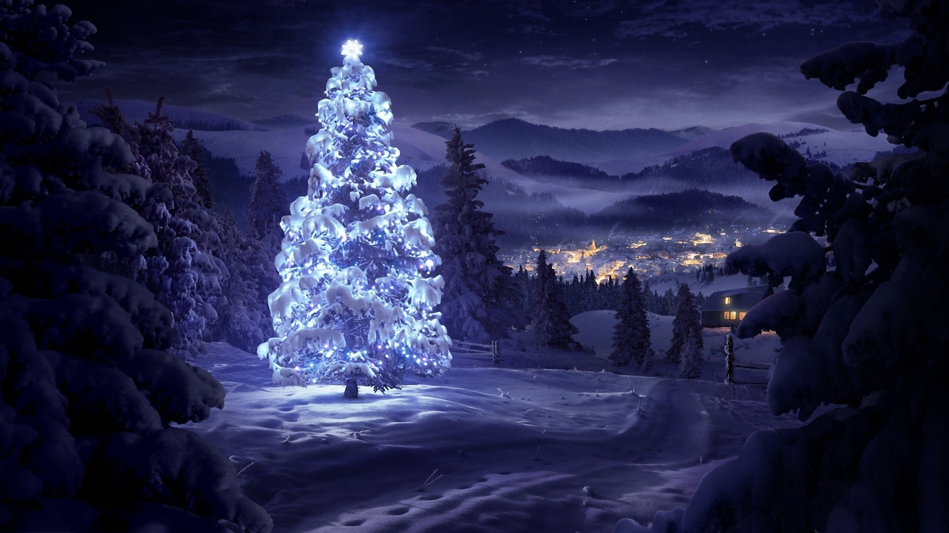 christmas night wallpaper,nature,tree,sky,natural landscape,light